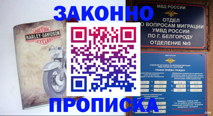 прописка для школы в Россоши